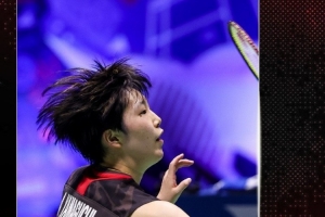 了不少球迷 了不少球迷